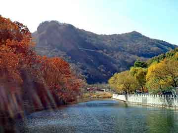 37岁女星江若琳突发车祸，社工